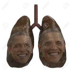 my lungs look like obunga