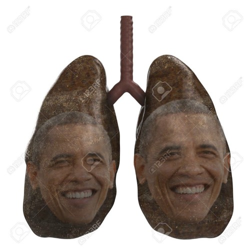 my lungs look like obunga