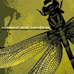 Neverender - Coheed & Cambria (Acoustic Duet To-It)