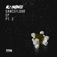 KANINE & SIMULA - SWARM (OUT NOW)