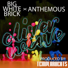 BAFA - Oliver Wave BIGWHITEBRICK X ANTHEMOUS