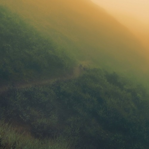 wilderness