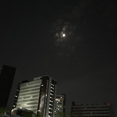 자유의지 (2015)