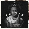 Cover Lagu - BRYANT MYERS FT BAD BUNNY - TRISTE