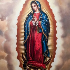 La Guadalupana, Javier Figueroa