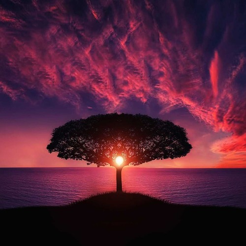 Ben Stevens - Trance Classics Volume 7
