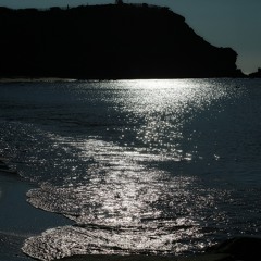 Diving in moonlight