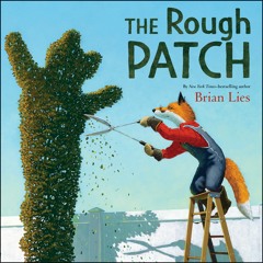 THE ROUGH PATCH by Brian Lies