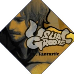 [VOEZ] Usual Groove - Mr. Fantastic