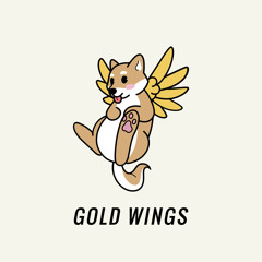 Shaun Frank & Krewella - Gold Wings (tofû remix)