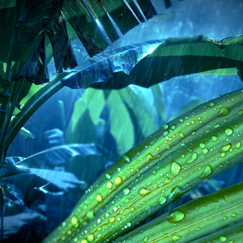 Jungle Rain (75 Minutes)