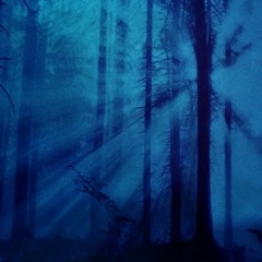 TwighlighT SerenadE