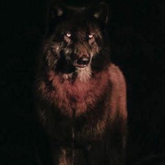 D.A.R.E Prod By Disdatheatboi