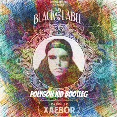 XaeboR & Chibs - Get Up (Polygon Kid Bootleg)
