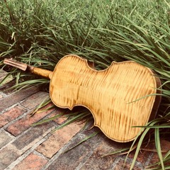 "Misty" (Jazz Violin)