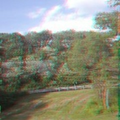 Running through poppakon forest