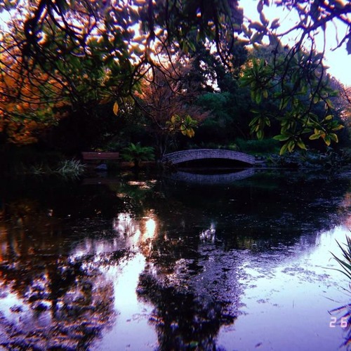 Roots [prod.Reasxn]