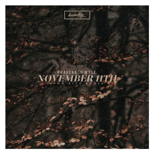 Praverb the Wyse - November 11th (Know Life Remix)