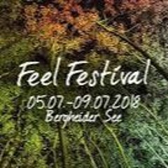 live@feelfestival (scheune)