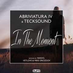 Abriviatura IV & TeckSound - In The Moment (Niado Remix)