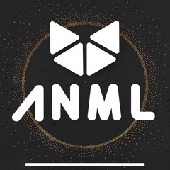 ANML - MAKING MAGIC