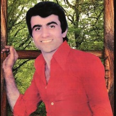 Hossein Badiee - Mina / حسین بدیعی - مینا