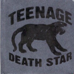 Teenage Death Star - Absolute Beginner Terrror