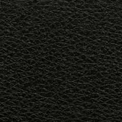 Cold Leather - Broken Record