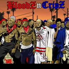 Fuck The Bloods Fuck The Crips