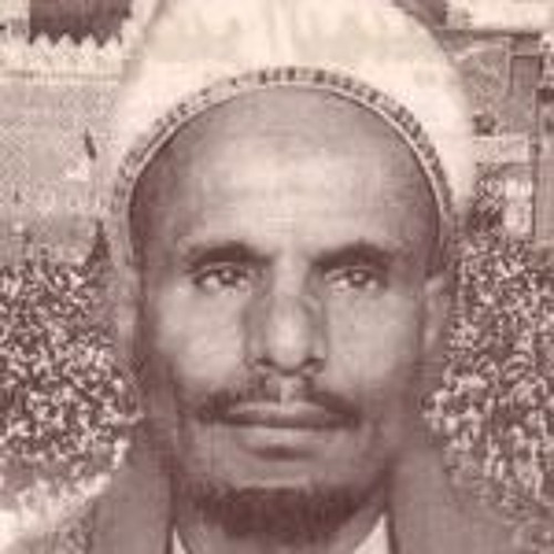 محمد حسين عامر