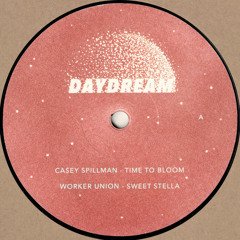 Casey Spillman / Worker Union / Noah Skelton / Stevn.aint.leavn - Daydream 005 (DAYDREAM005)