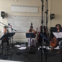 Blackbird (Diary) - RTÉ ConTempo String Quartet