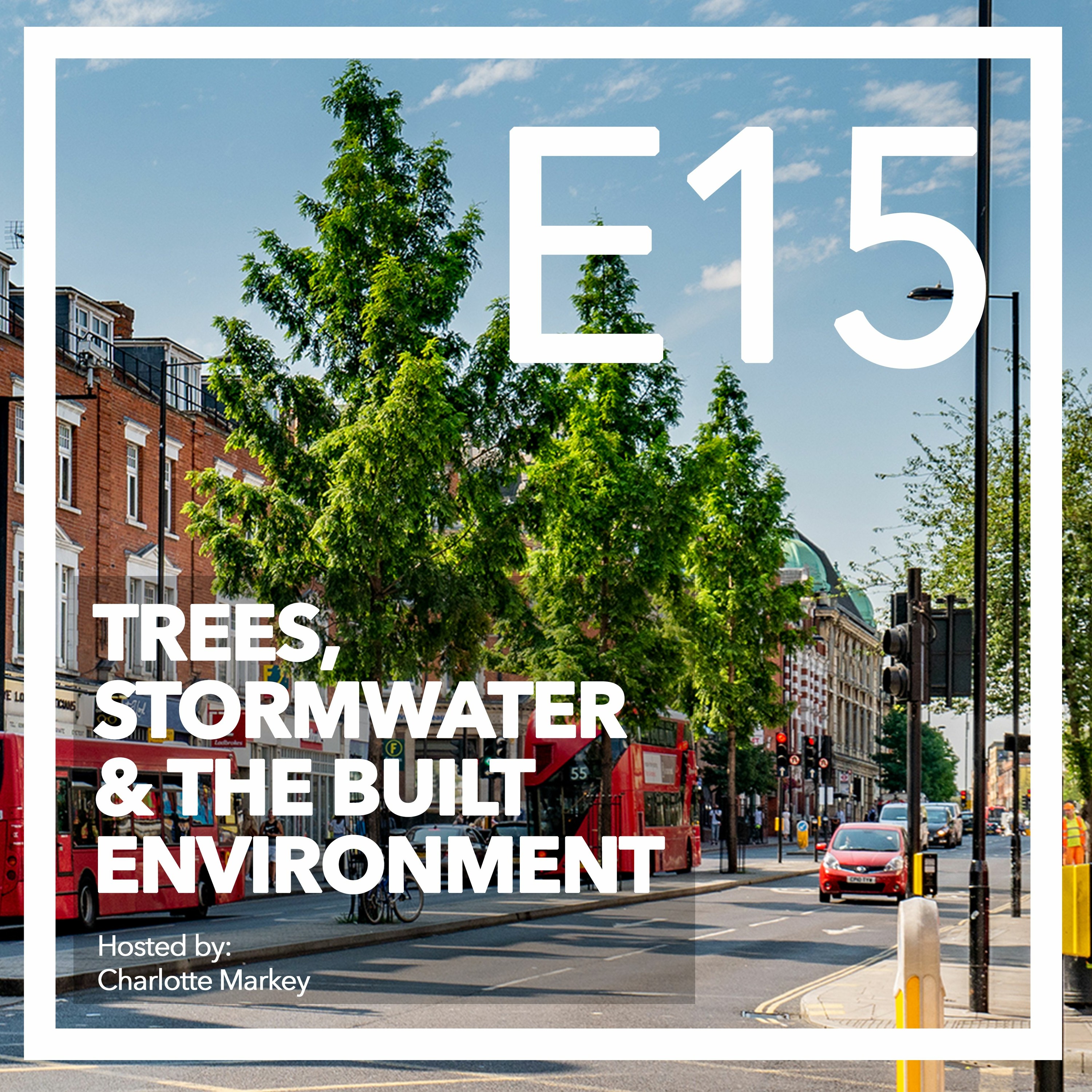 Trees-Stormwater