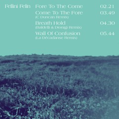 PREMIERE: Fellini Félin - Wall Of Confusion (La Décadanse Remix) [Délicieuse Records]