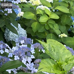 Work (Single Version)