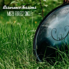 Misty Forest
