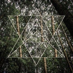 Little Bird - Nawekulo & M. Rumbi