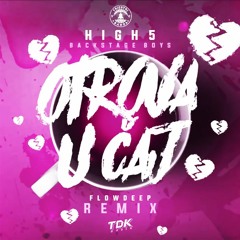 High5 - Otrova U Čaj (Remix)