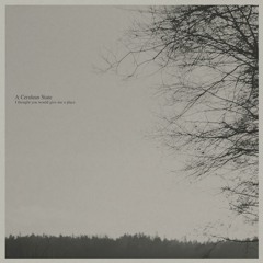 The sky had begun to bleed