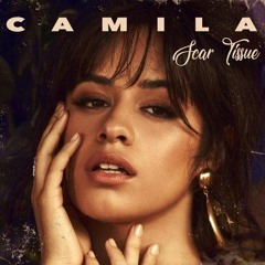 Camila Cabello - Scar Tissue (Audio)
