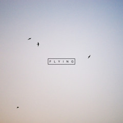 AK - Flying