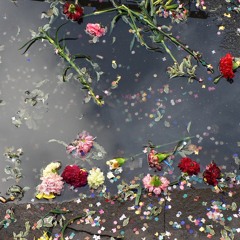 Planets of the Universe - Stevie Nicks