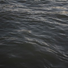 Black Roses Nashville