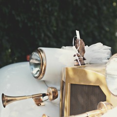 Lilly's Wedding - Robin Butler