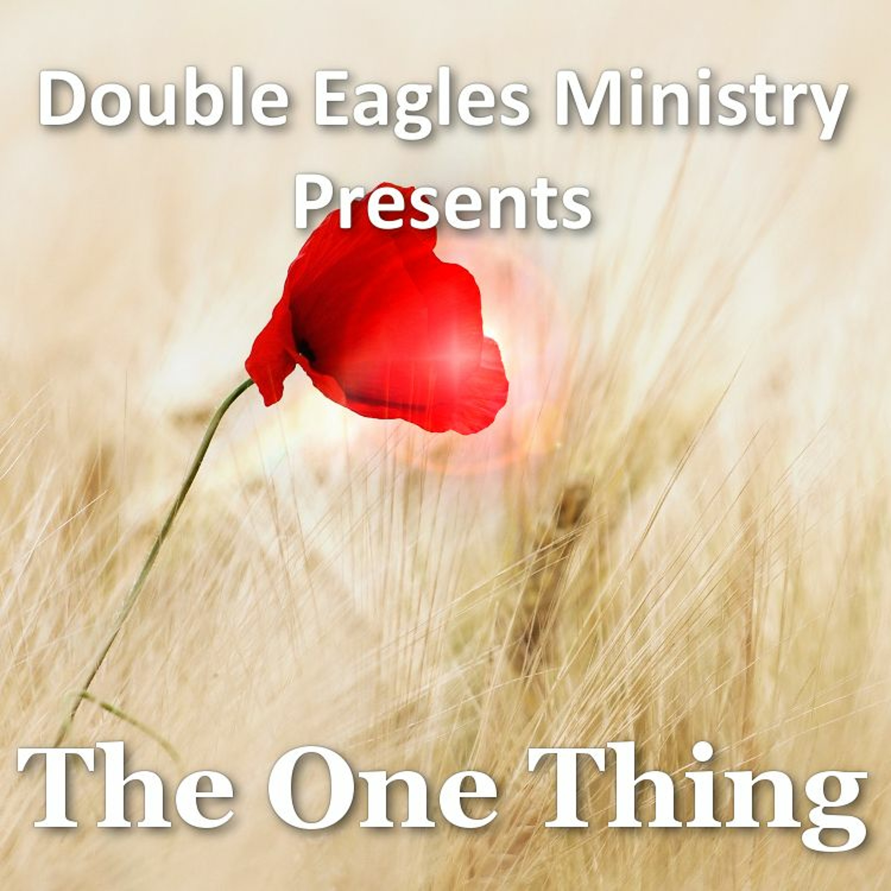 The One Thing episode artwork