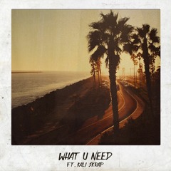 What U Need (Feat Kali Skrap)
