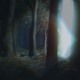 The Magic Forest thumbnail