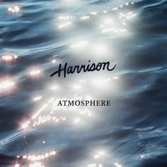 Atmosphere (Feat. Daniela Andrade)