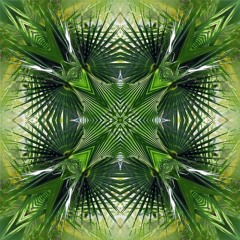 Breaking The Cycle (No Master)