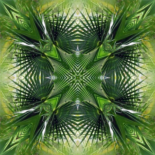 Breaking The Cycle (No Master)